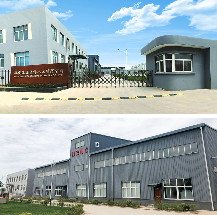 Xi'an Deli Biochemical Industry Co.、Ltd。：シクロデキストリン誘導体の主要なイノベーション、医薬品産業の力を強化する